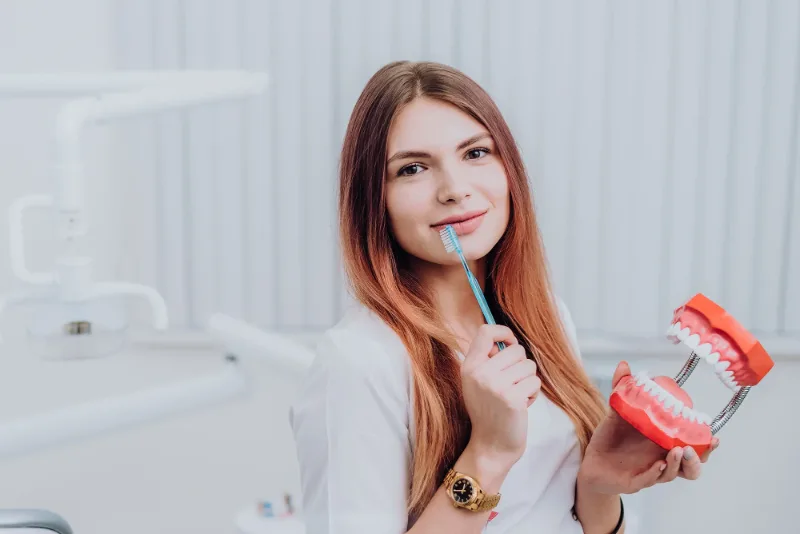Stomatolog u ordinaciji Dr Čuturić drži model zubi i četkicu